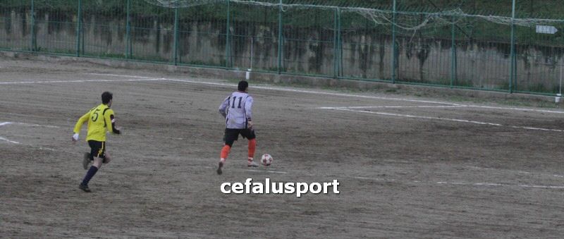 120310 stefanese 249y_tn.jpg